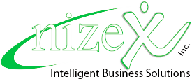 Nizex logo