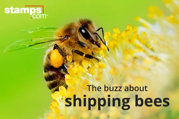 Shipping Bees with USPS and Stamps.com